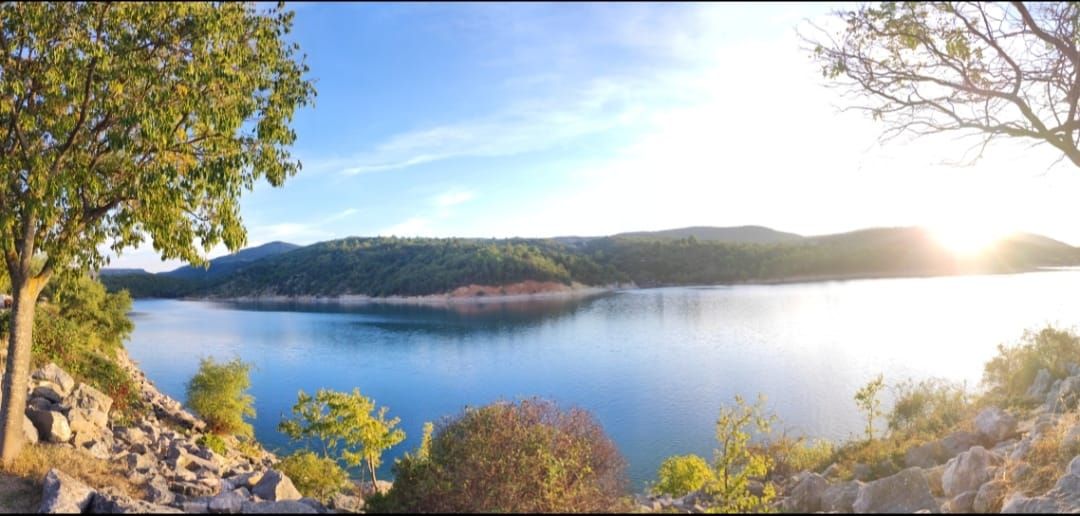 Andreia Da Costa Gonçalves & paysage - donatrice WoMEN NL